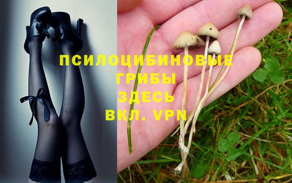 прущий лед Алексеевка